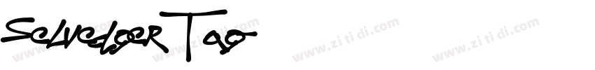 Selvedger Tag字体转换